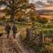 Tending Your Four Fields While Running Against The Wind