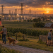 67 Million Americans Got A Coded Warning About The Power Grid