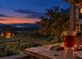 These Insomniacs Slept 84 Minutes Longer… After Drinking Something You Could Grow Behind The Barn